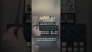 The Modular Minute 201: T-1 Cycles