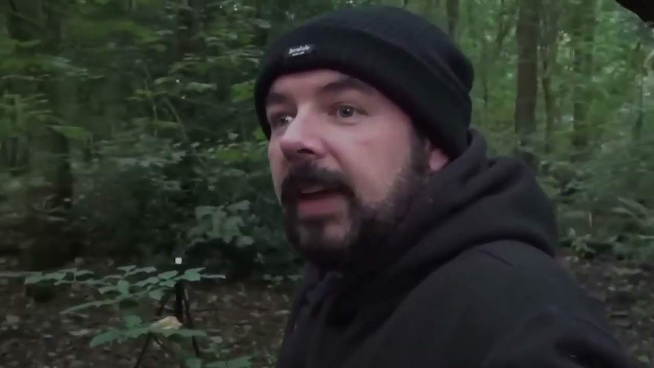 100 Gruselige Aufnahmen Aus Dem Wald (FEBRUAR 2026 SUPERCUT)