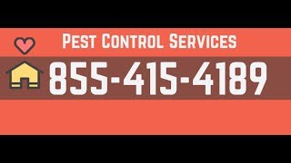Lockport IL Pest Control