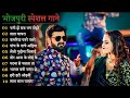  bhojpuri songs top       shilpi raj song 