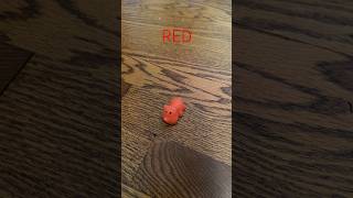 hopefully this isn’t a flop… #flop #uhoh #rainbow #squishies #fypシ