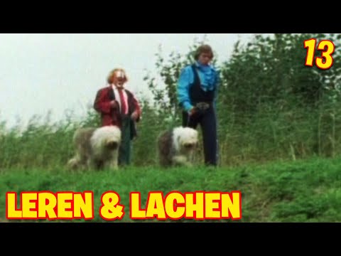 Bassie & Adriaan: Beter 1 koe in de hand..