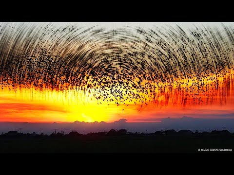 Video 11 Hiện tượng tự nhiên kỳ lạ mà trước đây bạn chưa... - youtube