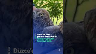 60 Saniyede Bugün 18 Haziran 2024