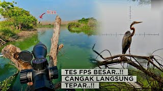 Huntingspot For Domestic Food