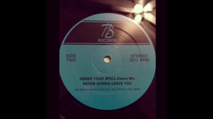 Terry Bruner - Never Gonna Leave You