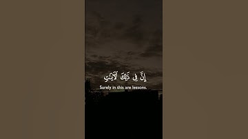 القران الكريم راحه نفسيه 😍🎧 القارئ الشيخ ياسر الدوسري صوت😢🌿 خاشع #اكسبلور #لايك #حالات_واتس #دويتو