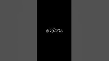 وَاصبِر وَما صَبرُكَ إِلّا بِاللَّهِ || كروما قران كريم شاشة سوداء || ياسر الدوسري