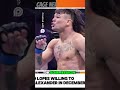 Edge of Your Seat Fights  The Ultimate Fan Experience