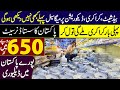 Pakistan Ka Sasta Dinner Set in 650 Rupees | Bed Sheet | Home Decoration | Crockery In Wholesale