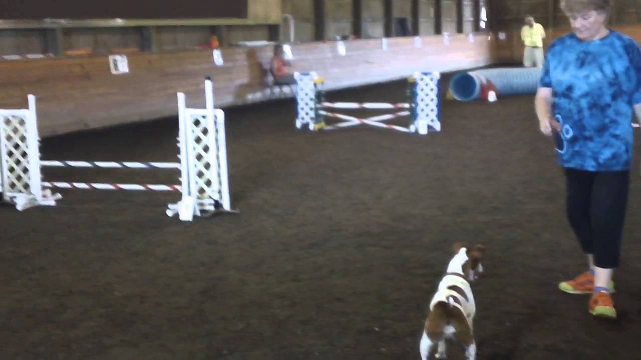 Remus Wins Jumpers - Port Chester Sept 1, 2014