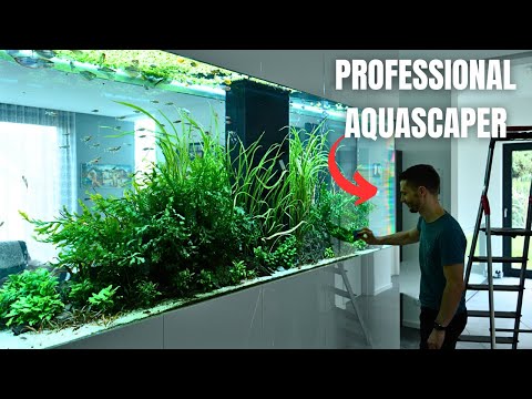 Day In The Life: Maintaining Expensive Luxury Home Aquariums w/@JurijsJutjajevs