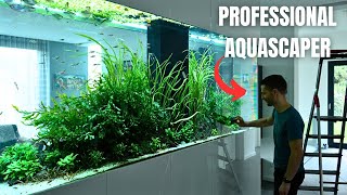 Day In The Life: Maintaining Expensive Luxury Home Aquariums w/@JurijsJutjajevs