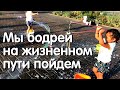 Мы бодрей на жизненном пути пойдем