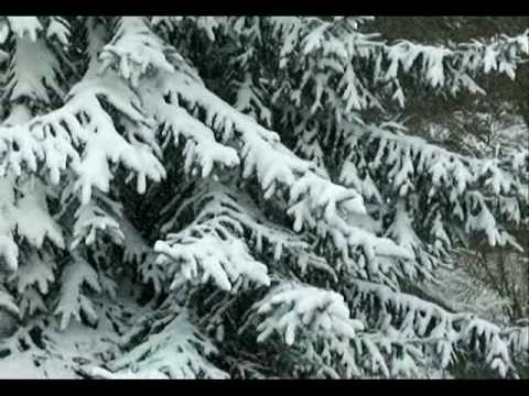 Старое кафе Заходи мама