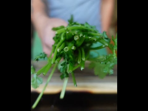Do THIS with Cilantro and Parsley Stems