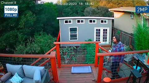 Swann Video Resolution Comparison - 4K v 4K Upscaled v 1080p (Oct 2020)