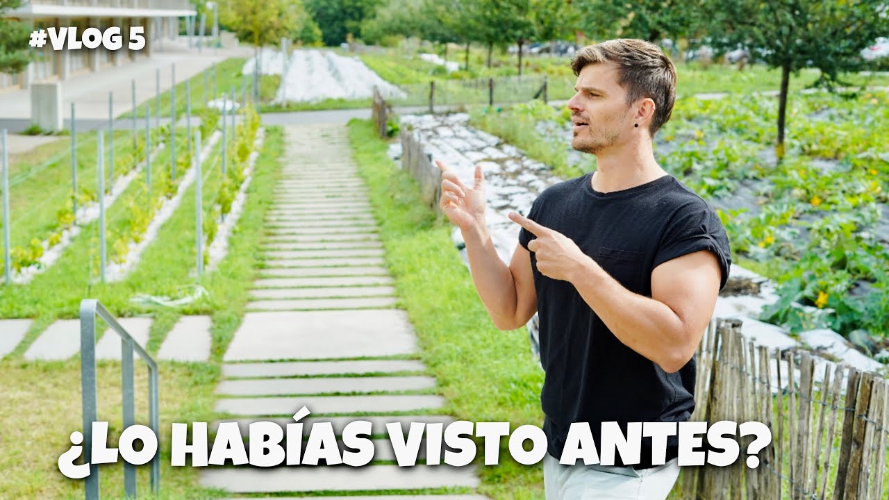 ECO BARRIO en Meyrin, SUIZA🇨🇭 | Vlog #5