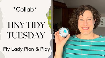 Tiny Tidy Tuesday Collab | Fly Lady Plan & Play Day | Clean With Me
