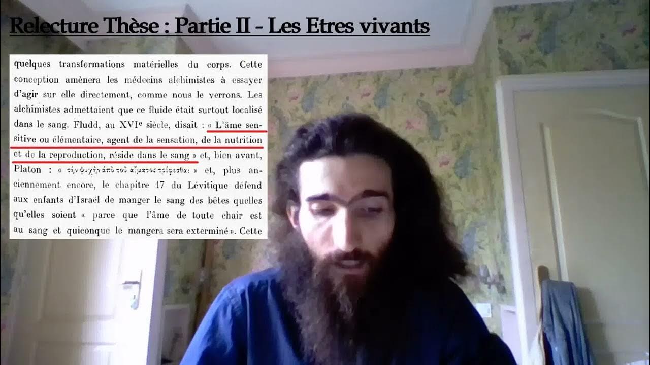 Rectification Vidéo Un peu d