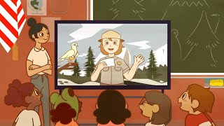 What is Post Pigeon
