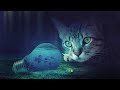 Cat Photoshop Manipulation Tutorial