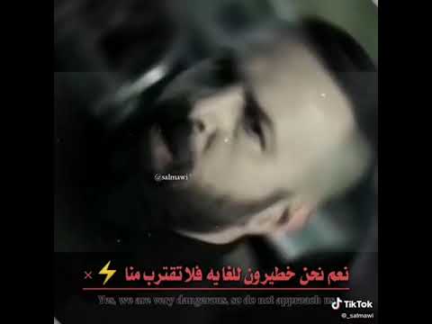 فكر الصوص حالو ديك