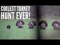 MOST EPIC TURKEY HUNT W/ A Bow EVER FILMED| Bowmar Bowhunting |