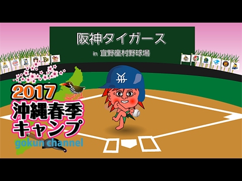 2017 阪神タイガース 沖縄春季キャンプ