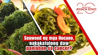 Seaweed ng mga Ilocano, nakakatulong daw panlaban sa cancer | Kapuso Mo, Jessica Soho