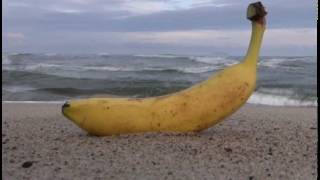 Cinemagraph: Banana at the Beach