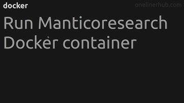 Run Manticoresearch Docker container #docker