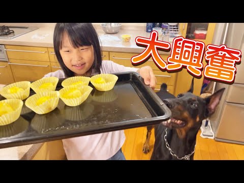 娘が贅沢に作ったおやつをドーベルマンにあげたら瞬殺！！