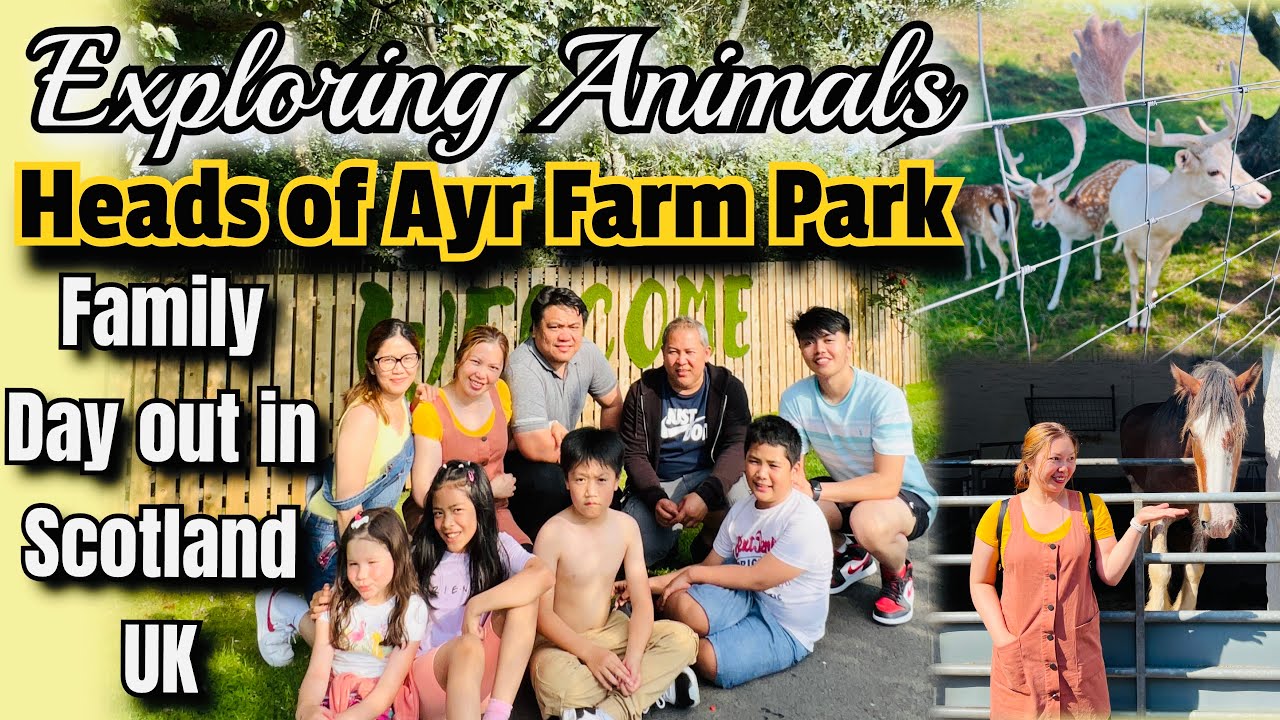 Family Ayr Farm Discount head.hesge.ch