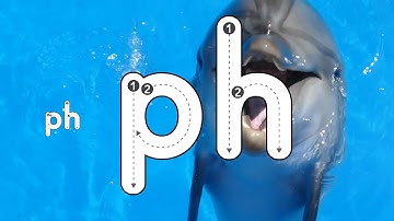 Spot the Things that Include the Digraph Sound ph Game | Answers in the Description Box