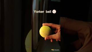 How to bowl a Perfect full Yorker | 100% works 2 Tricks #cricketpro #india #yorkerking screenshot 2