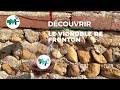  la dcouverte du vignoble de fronton