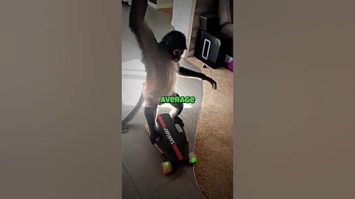 This Monkey is a Pro Skateboarder! 🐒🛹 #shorts