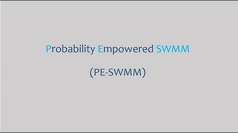PE SWMM