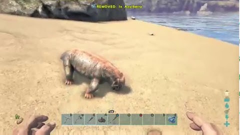 Ark: Survival Evolved Official Center PvP Server! New Beginning on Xbox One #1