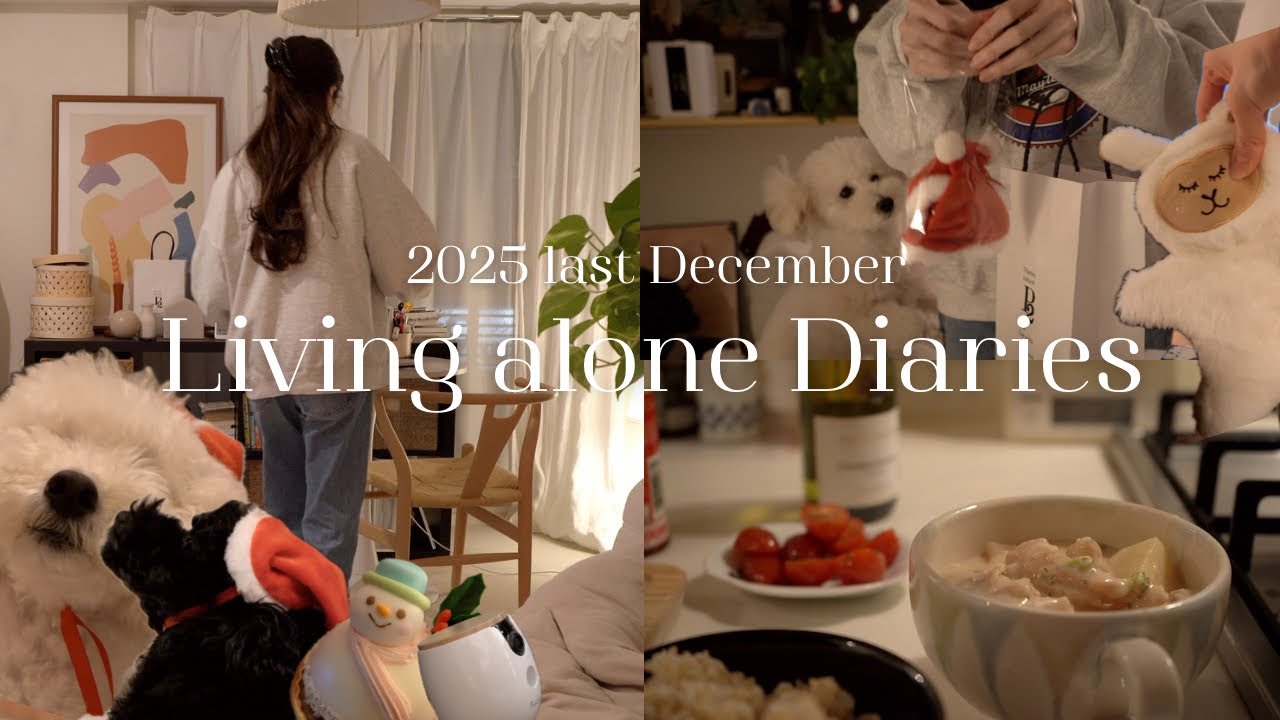 ひとり暮らしのささやかなクリスマス🎄｜シチューと愛犬への贈りもの🎁｜ペットカメラの仲間入り💫