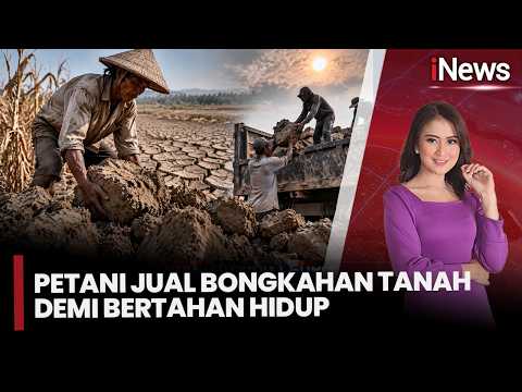 Kemarau Panjang, Petani Cilacap Terpaksa Jual Bongkahan Tanah demi Bertahan Hidup |iNewsTerkini 14/9