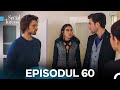     60