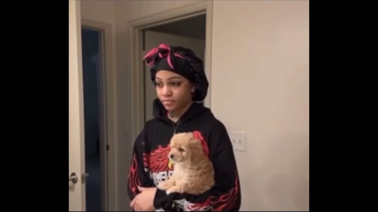 	“Aspen Cater EXPOSED? Twitch Dog Clip   Sparks Massive Backlash”