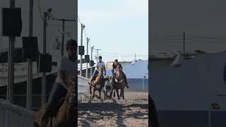 #vaquejadaaovivo #shortviral #vaquejada #vaqueirama #sertão #vidadegado #horse #abqm #reyvaqueiro