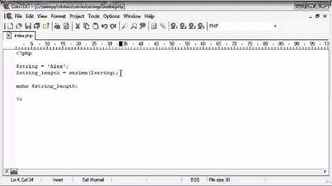 Beginner PHP Tutorial - 46 of 200 - String Functions String Length  (www.dynamicwebart.com)