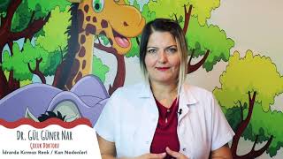 Gül Güner Nar-45