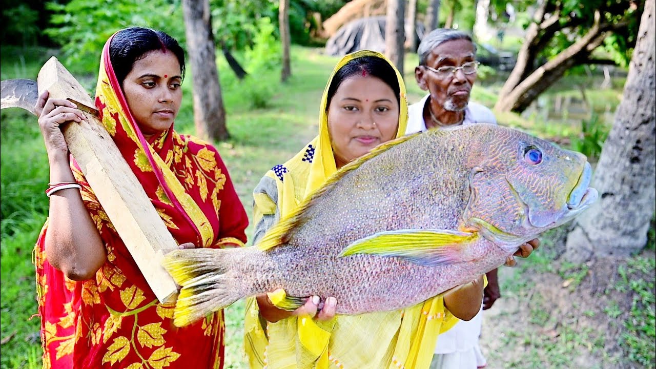 এটা কি মাছ?মাছটার স্বাদ কেমন?4kg সাইজের এই মাছটা কেটে রান্না করলাম সাথে পাকা কুমড়োর দুর্দান্ত রেসিপি