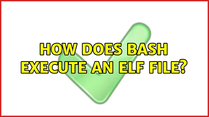 How does bash execute an ELF file?