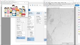 imagej入門課程 Guide